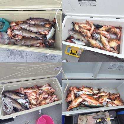 InShot_20251006_084750715