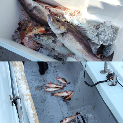 InShot_20251016_113233266