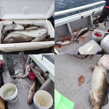 InShot_20251024_191201451