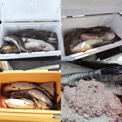 InShot_20251024_191234164