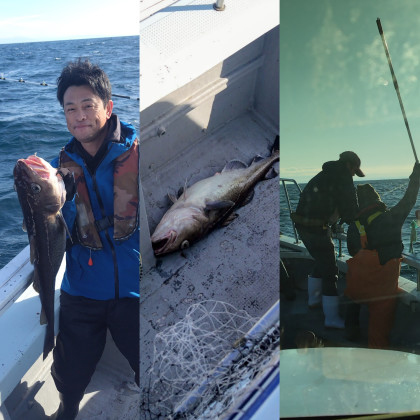 InShot_20251101_093723615