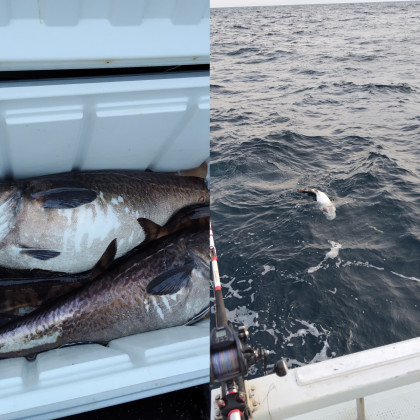 InShot_20251107_084838955