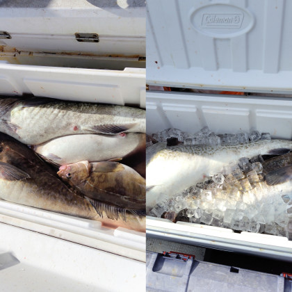 InShot_20251107_085016746