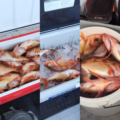 InShot_20251107_085142933