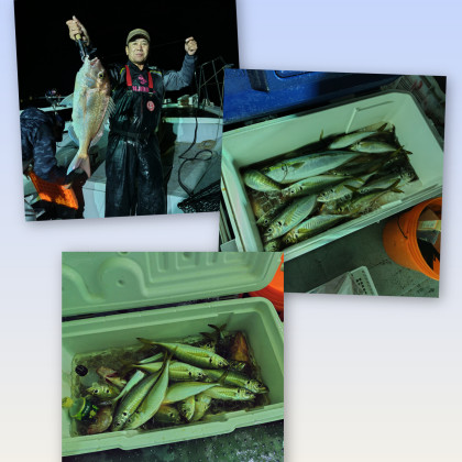 InShot_20251107_085600511