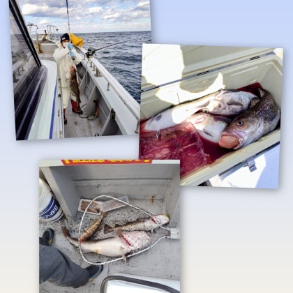 InShot_20251117_124052601