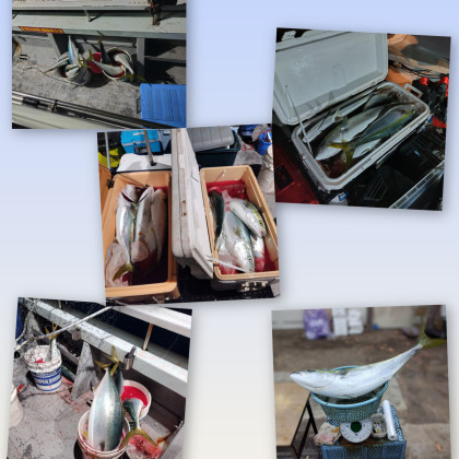 InShot_20251126_061747800