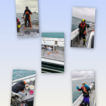 InShot_20260118_175519519