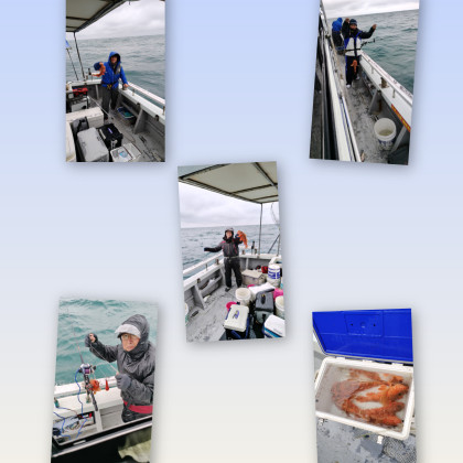 InShot_20260118_175643220